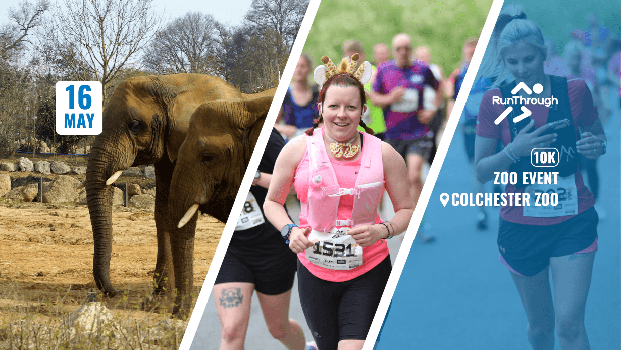 Colchester Zoo Stampede 10k May 2027