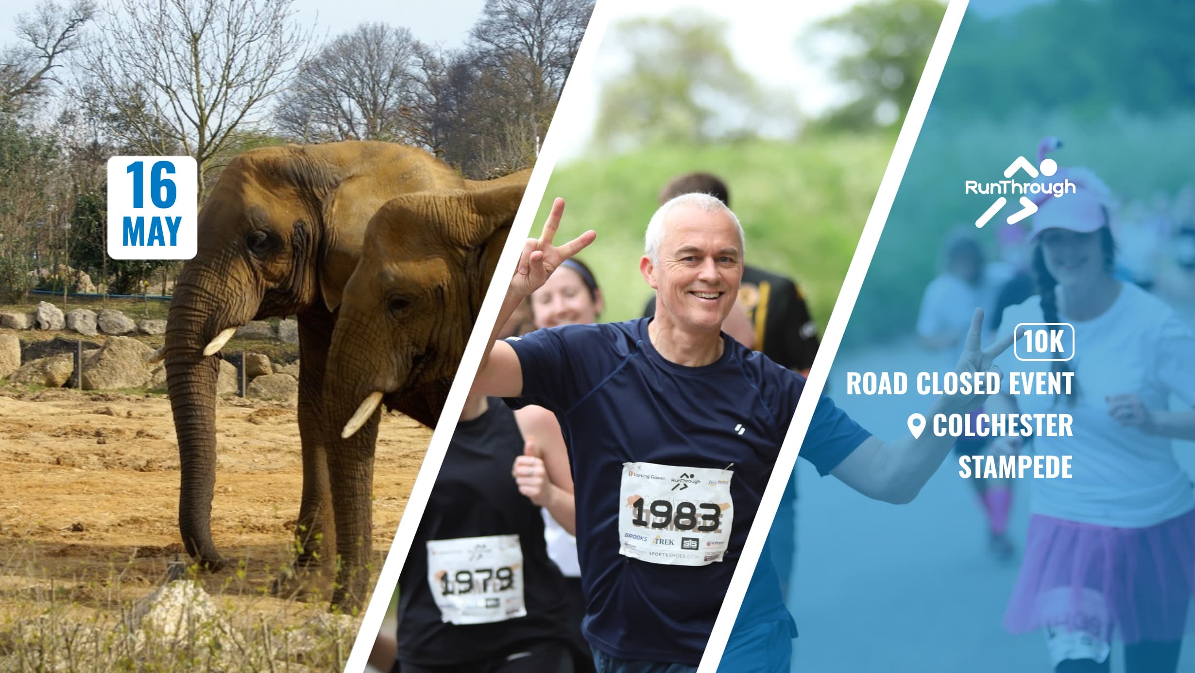 Colchester Zoo Stampede 10k May 2027