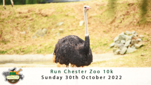October2022 ChesterZoo 300x169